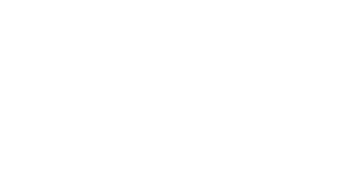 AIS — Artificial Intelligence Systems